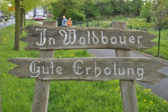 waldbauer_im_fruehling_10_20140429_1870210400