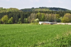 waldbauer_im_fruehling_11_20140429_1008328276