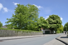 waldbauer_im_fruehling_1_20140406_1233243800