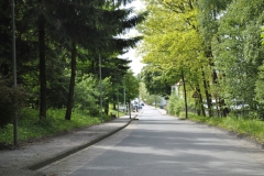 waldbauer_im_fruehling_2_20140406_1675516594