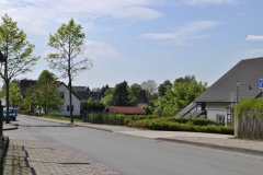 waldbauer_im_fruehling_3_20140406_1405887279