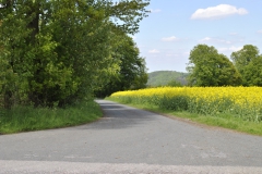 waldbauer_im_fruehling_4_20140406_2045725776