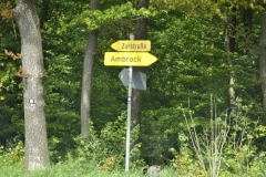 waldbauer_im_fruehling_6_20140406_1517921925