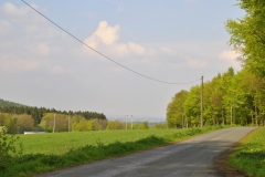 waldbauer_im_fruehling_8_20140429_1226260143