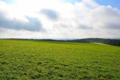 DSC_0751-800x533