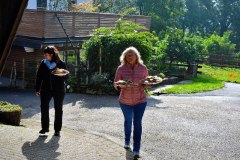 DSC_0778-800x533