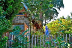DSC_0827-800x533