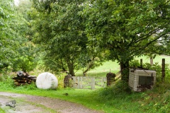 von_hof_zu_hof_10_20130930_1232097027