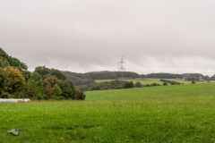 von_hof_zu_hof_14_20130930_1305992100