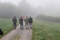 von_hof_zu_hof_2014_5_20140915_1605514434