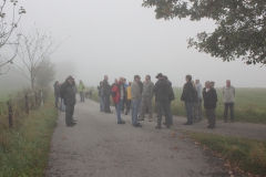 von_hof_zu_hof_2014_7_20140915_1171619185