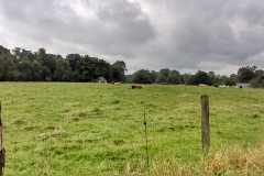 von_hof_zu_hof_6_20150907_1383726040