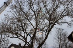 tanz_in_den_mai_10_20130505_1489553495